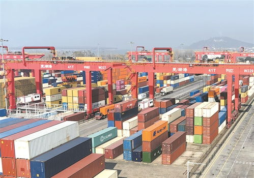 英科醫療假期不打烊，集裝箱出海搶單忙